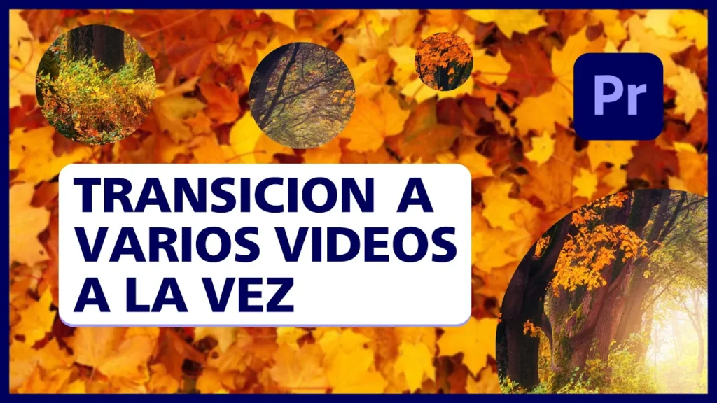 Añadir TRANSICIÓN a varios vídeos A LA VEZ en Premiere Pro