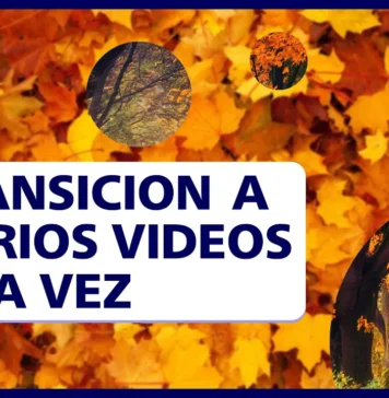 Añadir TRANSICIÓN a varios vídeos A LA VEZ en Premiere Pro