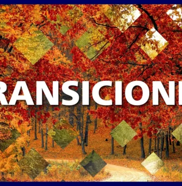 Cómo Aplicar TRANSICIONES en Premiere Pro