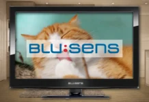 Cómo BUSCAR y ORDENAR Canales en TV Blusens