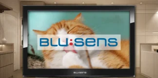 Cómo BUSCAR y ORDENAR Canales en TV Blusens