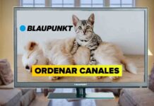 Cómo ORDENAR CANALES en Blaupunkt TV