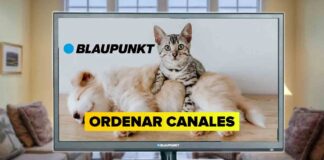 Cómo ORDENAR CANALES en Blaupunkt TV