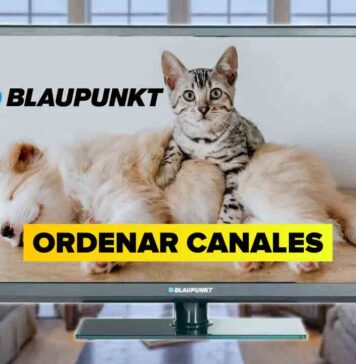 Cómo ORDENAR CANALES en Blaupunkt TV